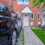 Intellect Suites