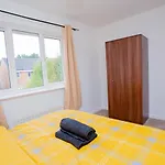 Intellect Suites